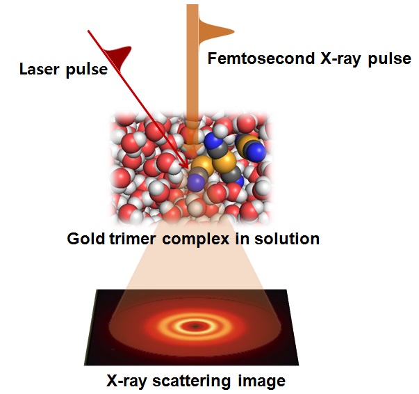 Real-time observation of bond formation by using Femtosecond X-ray liquidography (solution scattering) 사진